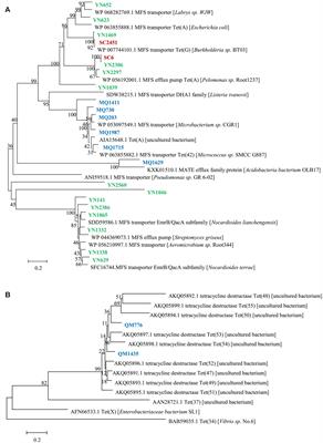 Tetracycline Resistance Genes Identified from Distinct Soil Environments in China by Functional Metagenomics